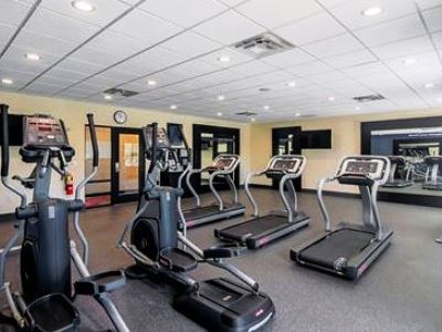 Hampton Inn&suites-dallas/richardson