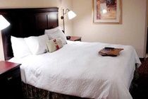 Hotel Hampton Inn&suites-dallas/richardson Richardson